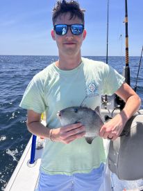 Charleston Report Photo 1