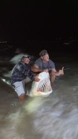 Corpus Christi Report Photo 1