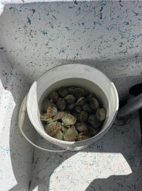 Steinhatchee Report Photo 2