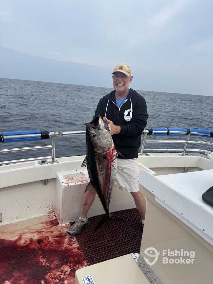 Montauk Report Photo 0