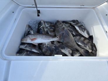 Galveston Bay Report Photo 2