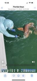 Islamorada Report Photo 2