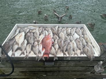 Tampa Bay Report Photo 2