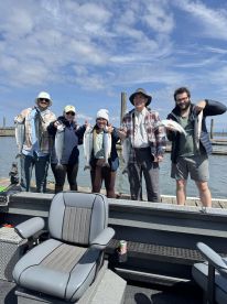 The pink salmon are here