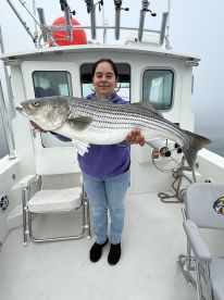 Salem Report Photo 4