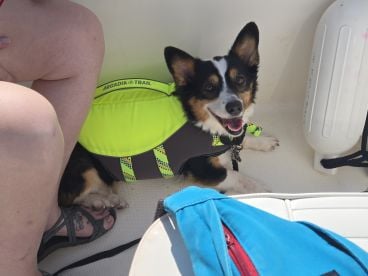 Fishing was doggy dog today.