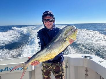 Tavira Report Photo 1