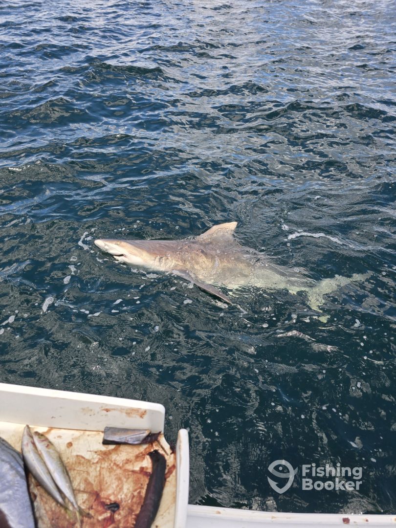 Panama City Beach Report Photo 0