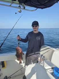 Red grouper