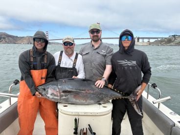 Northern California Report Photo 1