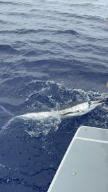 Calheta Report Photo 3