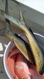 Puerto Morelos Report Photo 2