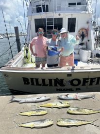 Summer Sailfish