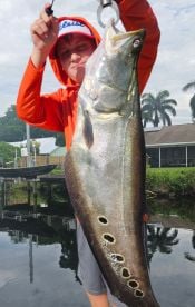 Delray Beach Report Photo 2