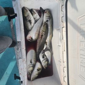 Boys day on the Chesapeake Bay 