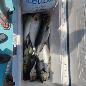 Just 2 brother's with a case of the Blue