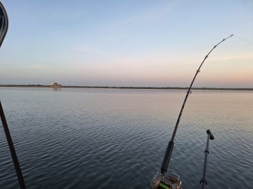 San Antonio Report Photo 1