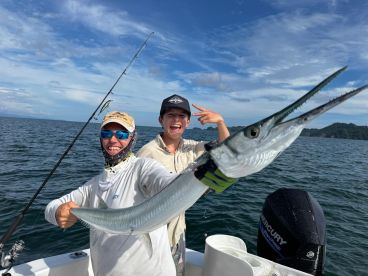 Fish, fish and more fish