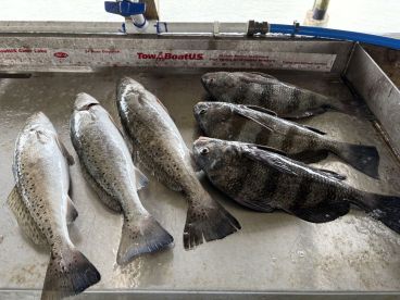 San Leon Report Photo 1