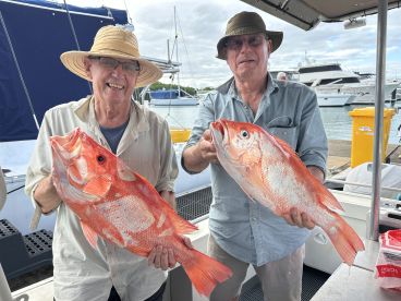 Queensland Report Photo 1