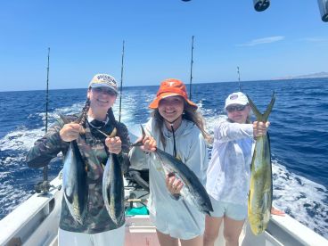 San Jose del Cabo Report Photo 2