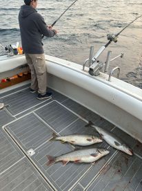 Williamsburg Report Photo 2