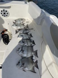 Nags Head Report Photo 1