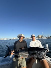 Great bluefin action Offshore