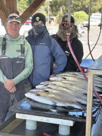 Fall chinook and coho are happening 