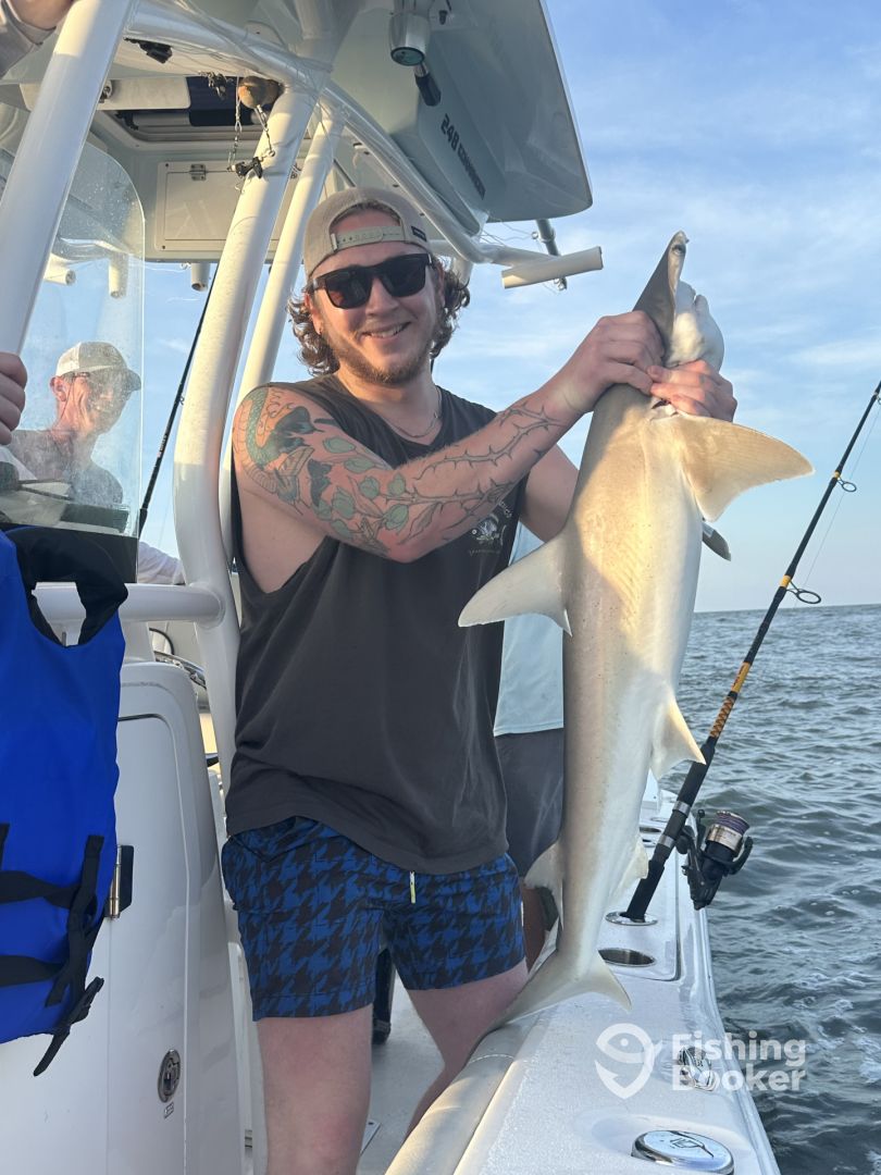 Charleston Report Photo 0