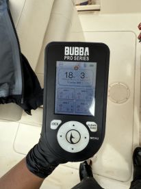 King Salmon Season Summary