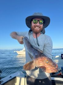 Campbell River Report Photo 2