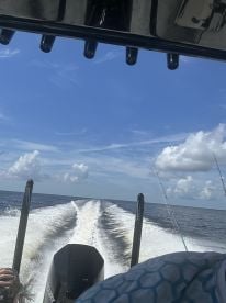 Punta Gorda Report Photo 2