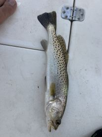 Nice day with a great family