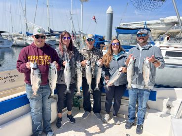 Birds = Bait = Salmon!