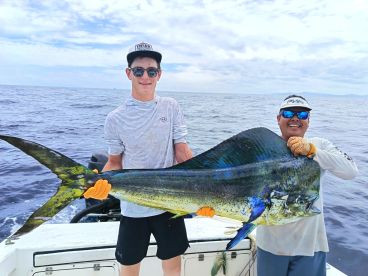Bull mahi on season