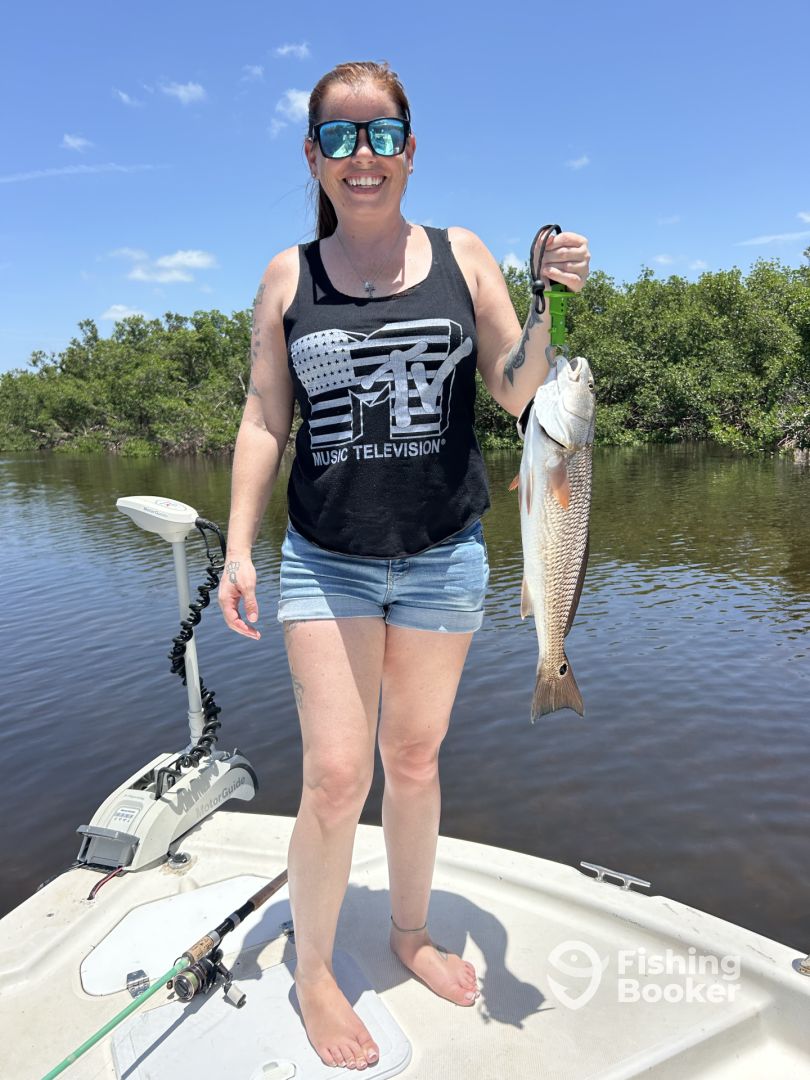 Punta Gorda Report Photo 0