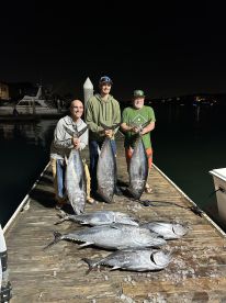Limits of Bluefin!
