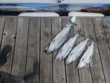 Astoria Report Photo 1