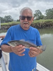 Hilton Head Island Report Photo 2