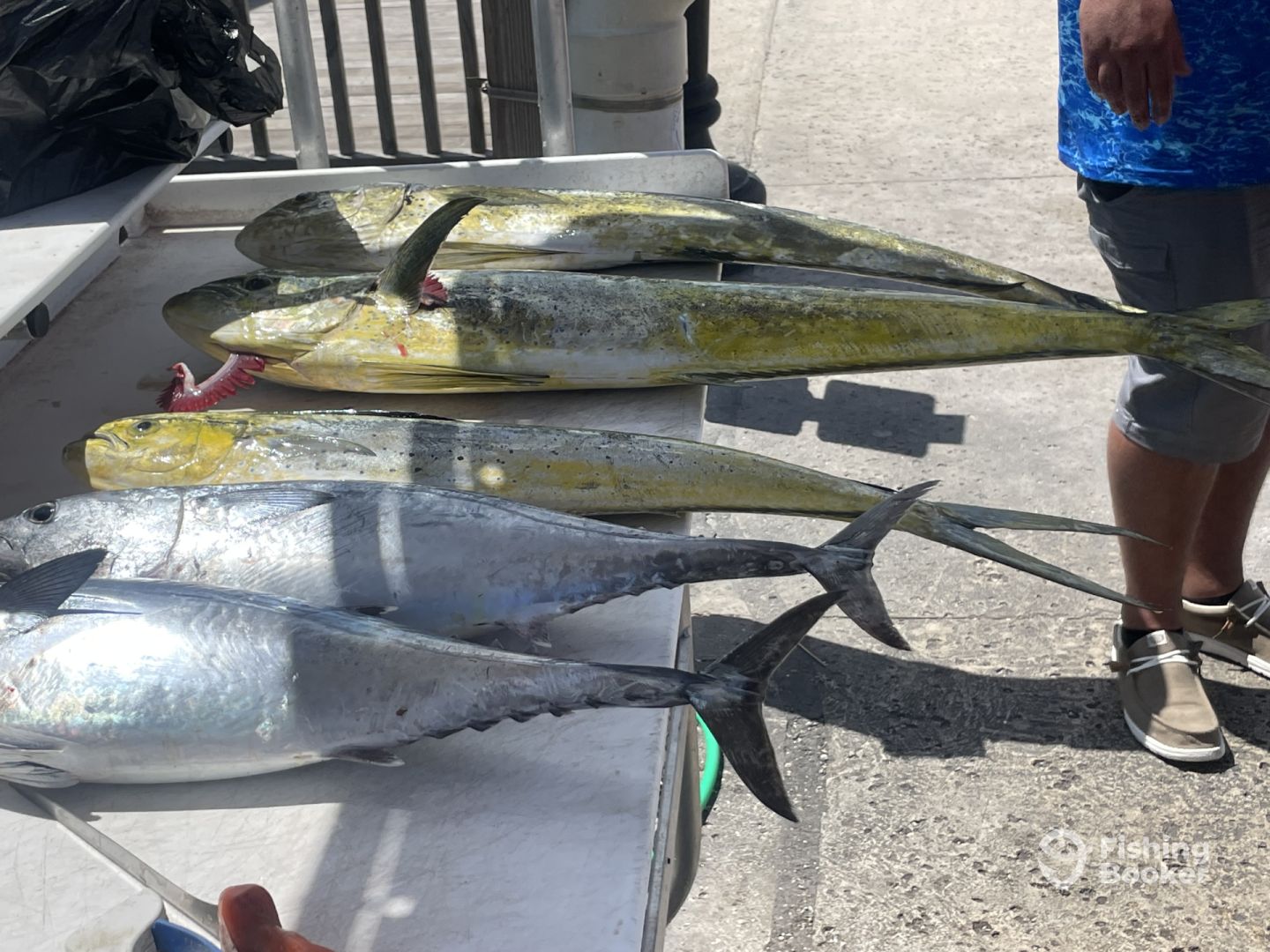 Key West Report Photo 0