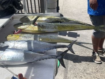 Key West Report Photo 1