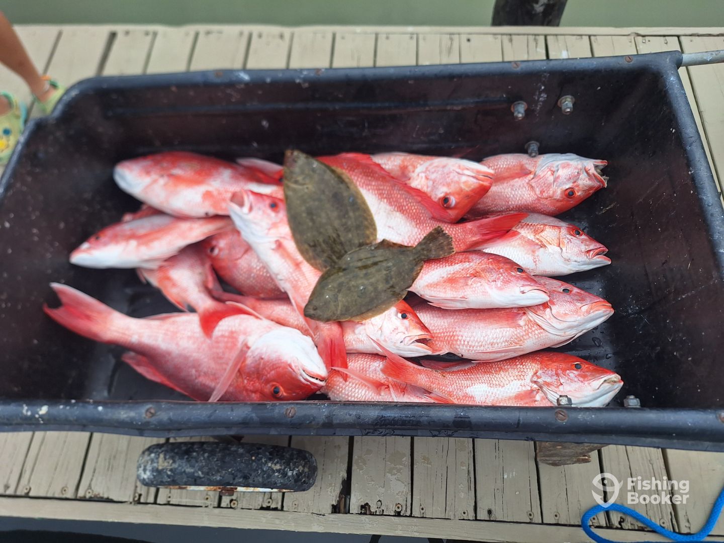 Mississippi River Report Photo 0