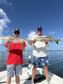 Holmes Beach Report Photo 4