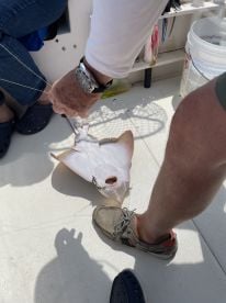 Jersey Shore Report Photo 1