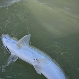 Islamorada Report Photo 1