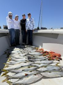 Great fishing for Yellowtail at the Isla