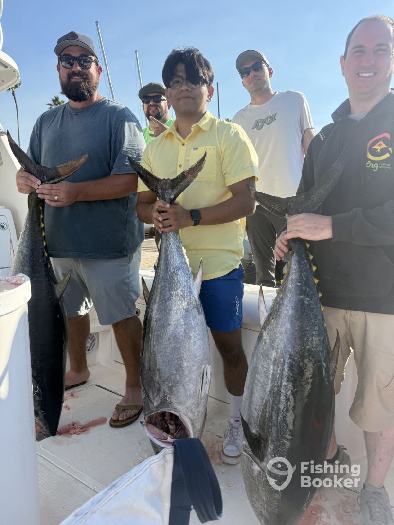 Catalina Island Report Photo 0