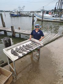 Texas City Report Photo 1