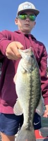 Carroll County Report Photo 2